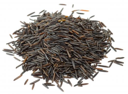 The Potawatomi Indians often ate wild rice as part of their diet.