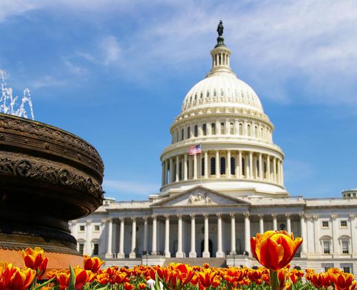 The U.S. Congress meets in the Capitol Building.