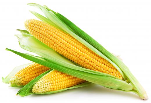 Corn is a major agricultural product of Nebraska.